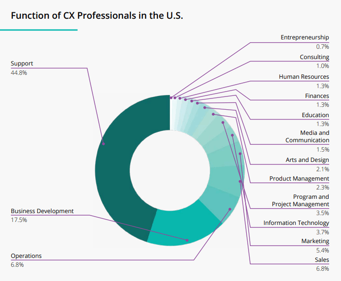 Customer Experience Executive Landscape and Salary Report | Lightico